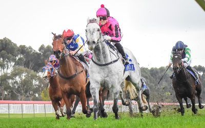 Whiteboard plan delivers hat-trick for Tori’s Dee