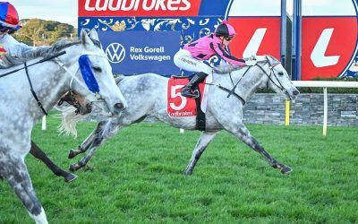Emsley Lodge reaches milestone with Tori’s Dee quartet of wins