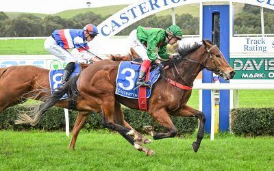 Darwinian joins winners list for breeder Mike Palmer