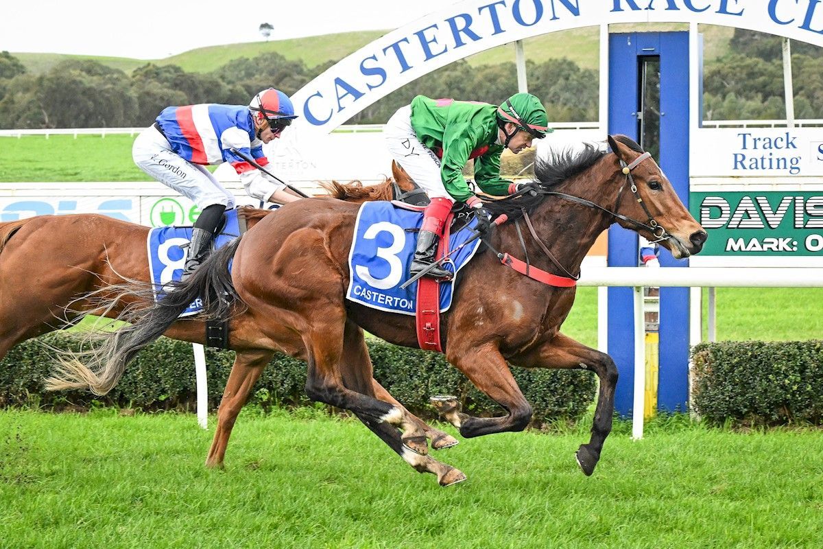 Darwinian joins winners list for breeder Mike Palmer - Emsley Lodge