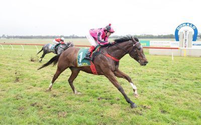 Colt Forty Five joins multiple winners list for stable