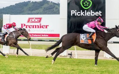 Brutify salutes for new stable apprentice