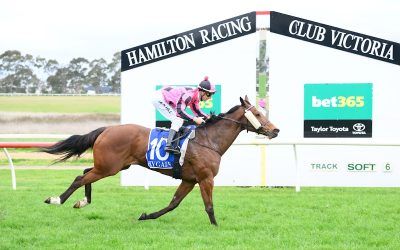 Hamilton triumph for consistent mare