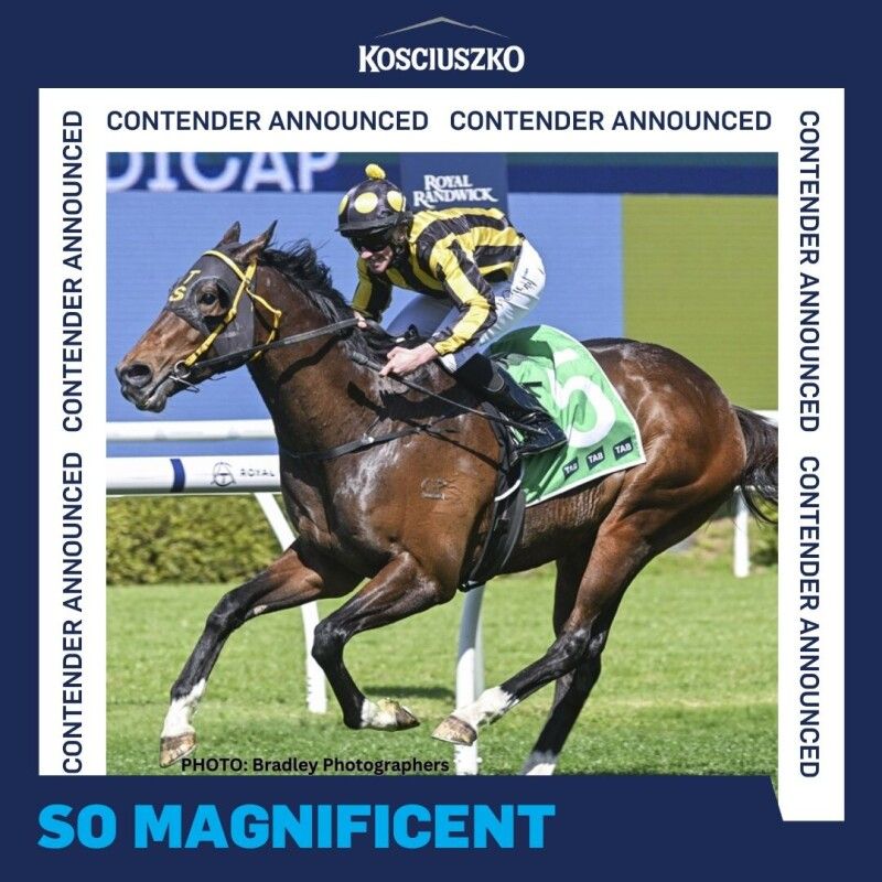 So Magnificent