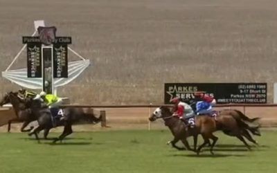 Loose Love digs deep at Parkes