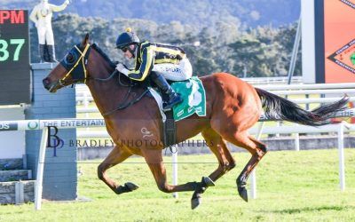 Nothing Loose at Gosford