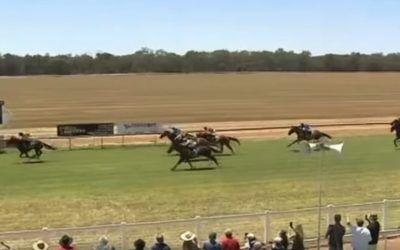 Nothing to panic about in Parkes