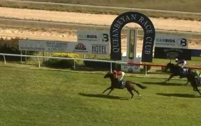 Initiate stalks the leader and pounces late