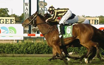 Love Shuck books his place in the Town Plate