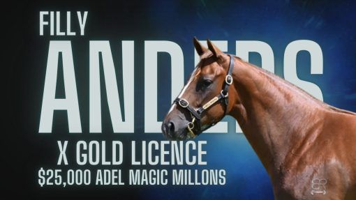 Anders x Gold Licence