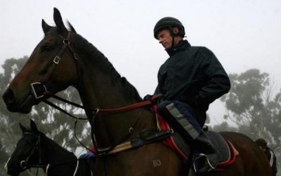 Trainer Danny Williams back at work in Guy and Wendy Walter’s Goulburn stables