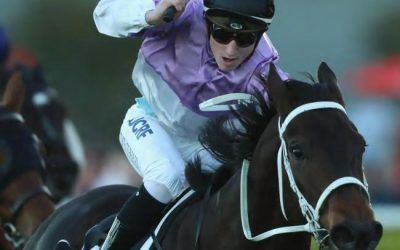 Track Conditions Key for Country Sprinter