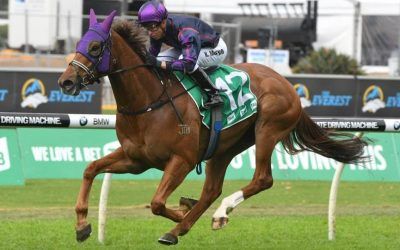 GOULBURN TRAINERS HAVE THEIR HORSES PEAKING FOR THE KOSCISUZKO