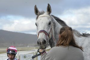 The result carried a profound significance for our stable, standing as a testament to MY BLUE JEANS' toughness and honesty and also the practices we undertake to give every horse the opportunity and longevity to make it as a racetrack success. 