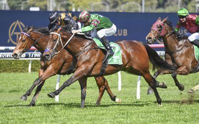 Third Time’s the Charm For Wizard