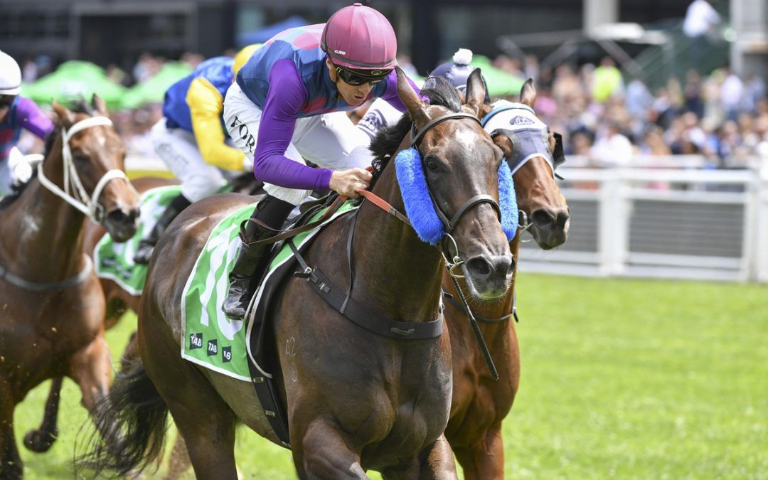 Bandi's Boy, our four-year-old The Brother’s War gelding trained at Goulburn, has recently claimed victory in a 1200 Highway race at Royal Randwick, marking a significant milestone in his career and a journey back to the winners' circle.