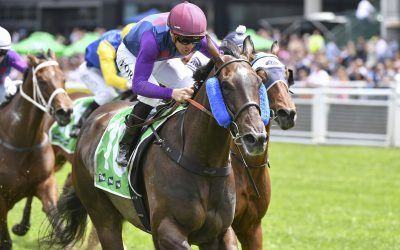 Bandi’s Boy and the Value of Patience with Talent in Horse Racing