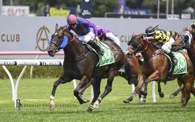 WILLIAMS FOCUSED ON COUNTRY CHAMPIONSHIPS FOR BANDI’S BOY