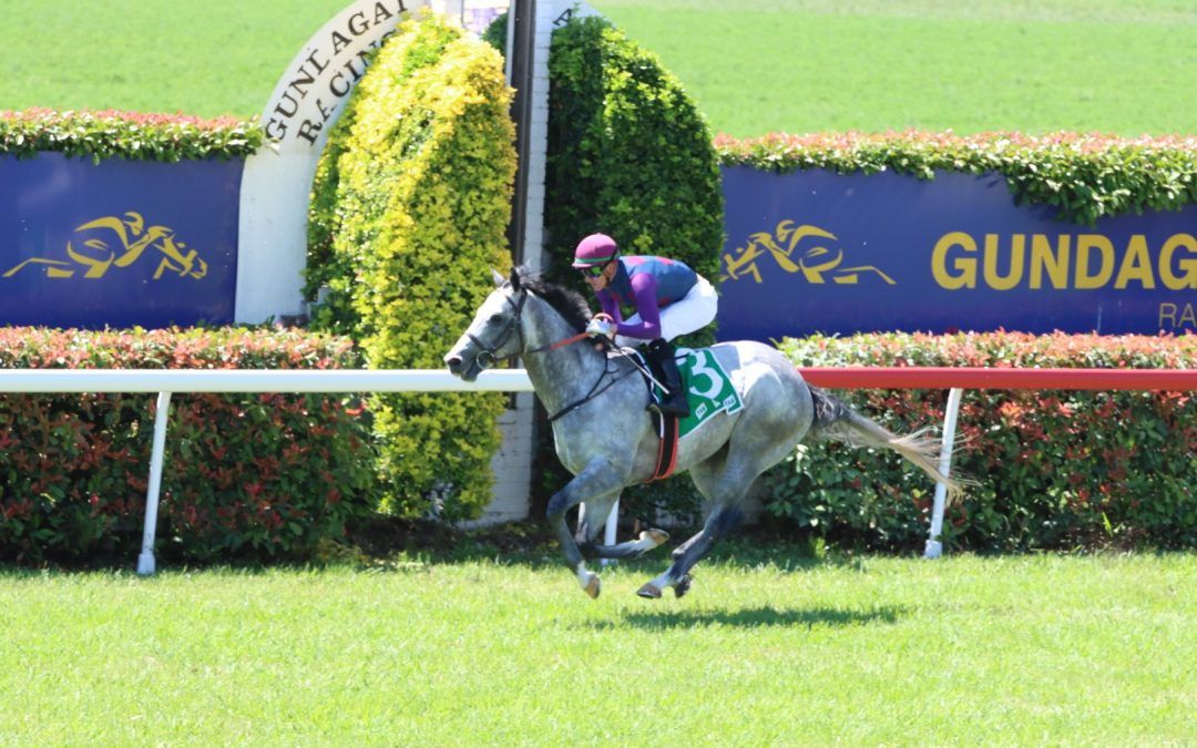 In his thrilling recent debut, our Japanese-bred colt KREON [Rulership (JPN) x Shirayuki (JPN) (Kurofune (USA))] left an impressive mark on the 1180m Showcase Super Maiden at Gundagai.