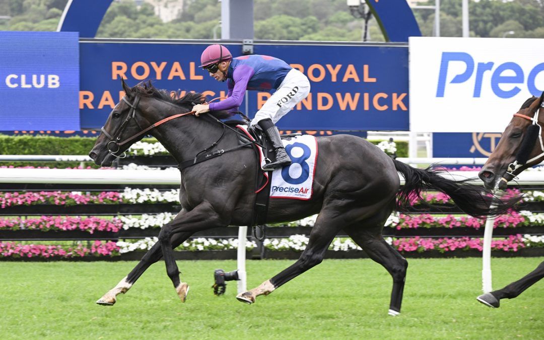 Surprising many, including his trainer, the 4YO Kooringal Stud The Brother’s War gelding, stalked the speed first-up and was able to cinch the victory fighting hard back on the inside for his rider Jay Ford at a quote of 10/1 and better some more fancied runners who were hard in the market.