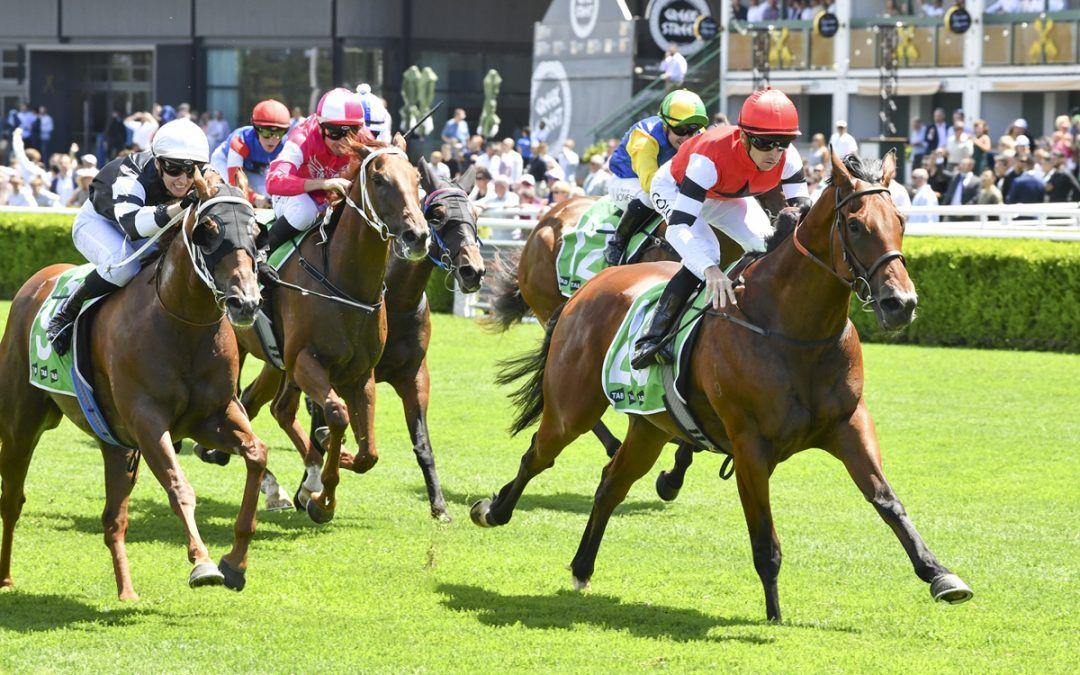 With circumstances at last working in his favour, Atmospheric Rock emerged a 1200m Highway winner at Royal Randwick and showcased his ability to take his racing further.