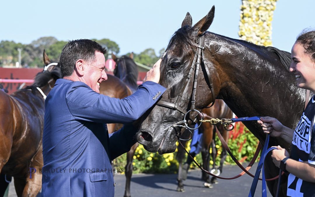 The stable was elated to see our talented 4-year-old, Bandi’s Boy claim the stunning victory he had long promised in the 1200m Group 3 Star Kingdom Stakes at Rosehill at the end of March.