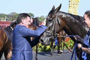 The stable was elated to see our talented 4-year-old, Bandi’s Boy claim the stunning victory he had long promised in the 1200m Group 3 Star Kingdom Stakes at Rosehill at the end of March.