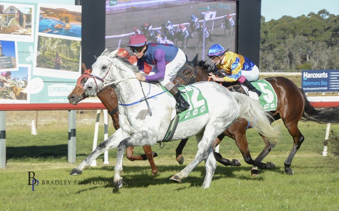 It was a proud mid-winter scene at Moruya with our stalwart gelding, MY BLUE JEANS, clinching a remarkable 10th career win in a manner befitting a horse much younger in years. Although nearing his 10th birthday, MY BLUE JEANS continues to race with unwavering enthusiasm and energy and found himself back in a familiar Winner’s Stall in the 1650m BM58 at his 114th start.