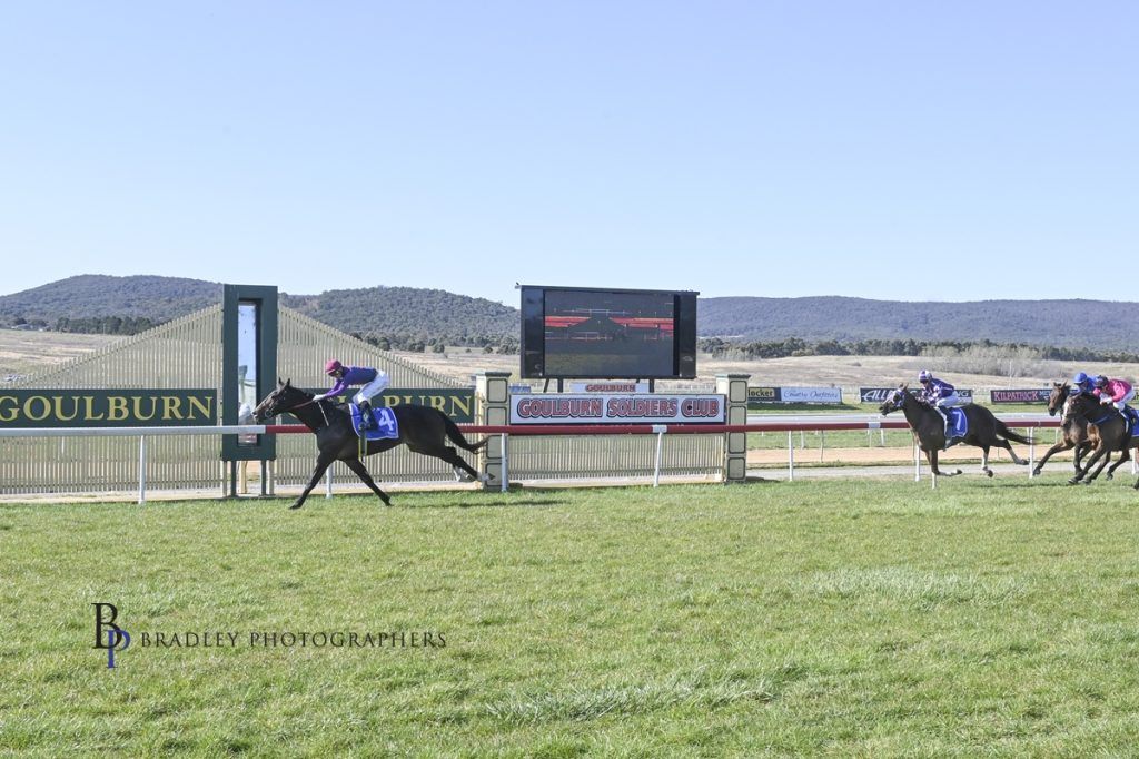 Highway Strip Double Delight at Goulburn Danny Williams Racing celebrated a standout day at Goulburn, with two impressive winners demonstrating the team's hard work and good management of horse’s on the rise.