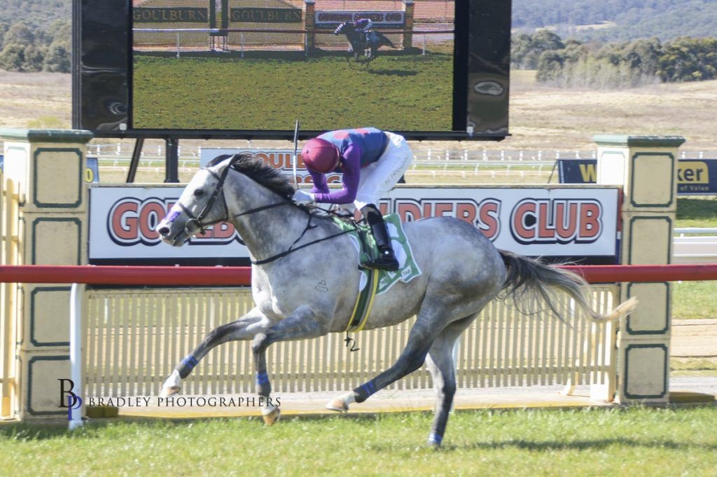 Kreon Double Delight at Goulburn Danny Williams Racing celebrated a standout day at Goulburn, with two impressive winners demonstrating the team's hard work and good management of horse’s on the rise.