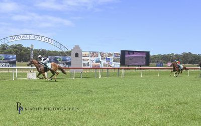 Dominant Maiden Wins at Moruya