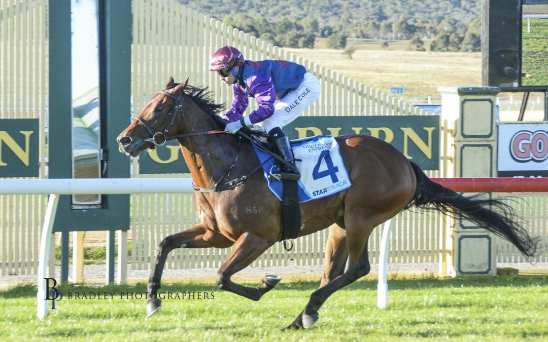 It was a day to remember for our stable apprentice Dale Cole, who rode his first and second career winners in a milestone double at Goulburn- capped by a dominant on-pace victory aboard the stable’s promising 3YO Chemtrail.