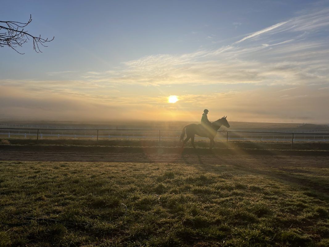 Un-named (Shamus Award – Rubiwish)