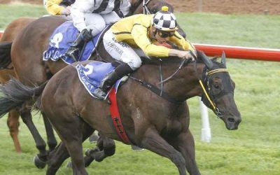 CENTRE DIVIDER Breaks Maiden