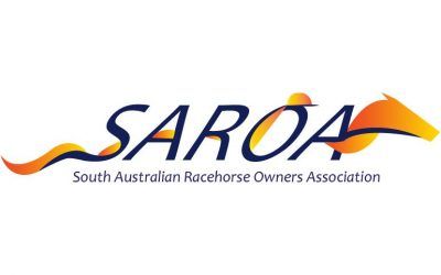 SAROA (owner of the month)