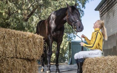 Adelaide Cup dream comes true for apprentice Alana Livesey