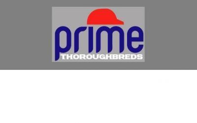 Prime Thoroughbreds team up with Moloney Racing