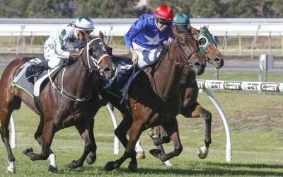 A Gutsy Win To Flying Jess In The Gr3 SA Sires Produce