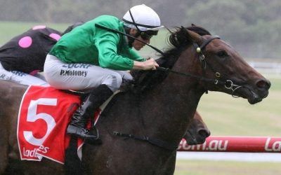 Moloney Racing Open Day Wrap Up and Invitation for New Owners