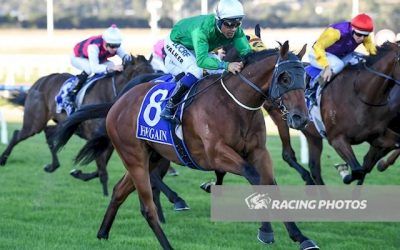 Sir Harald Storms Home at Pakenham