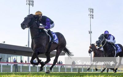 Sir Gawain Turns Around Stable Luck