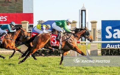 Sir Harald Salutes at Sale