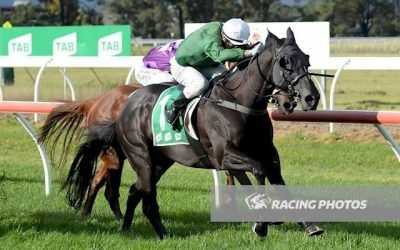 Black Opal Swims at Werribee