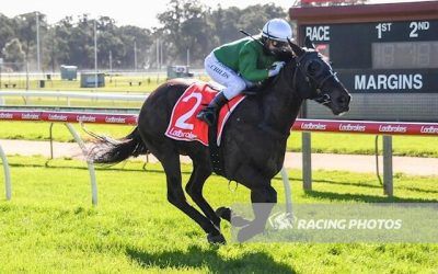 Childs Salutes on Black Opal