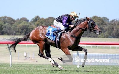 Milton Park Eyes Australian Guineas