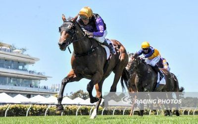 Milton Park Stars at Flemington