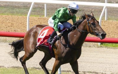 Scorched Earth Sizzles in Magic Millions SA 2YO Classic