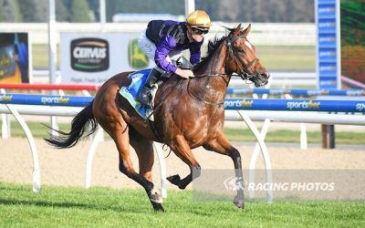 Maddox Bolts in at Ballarat