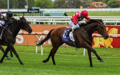 Saltpeter Scores Emotional Win On Cup Day