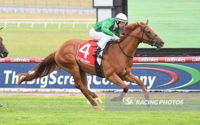 Nation State Goes Back-To-Back at Sandown